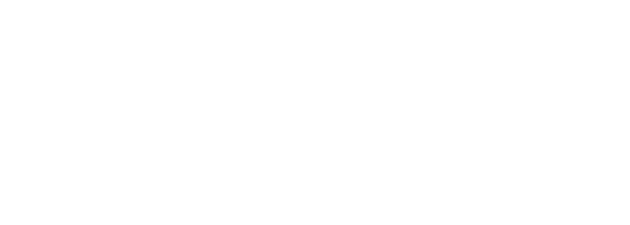 Brandiv Logo